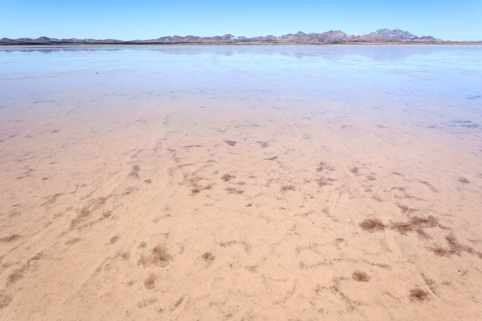 Lordsburg Playa