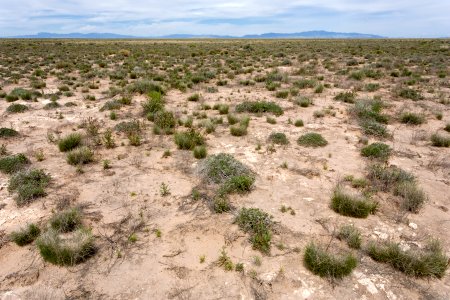 West of Trinity Site