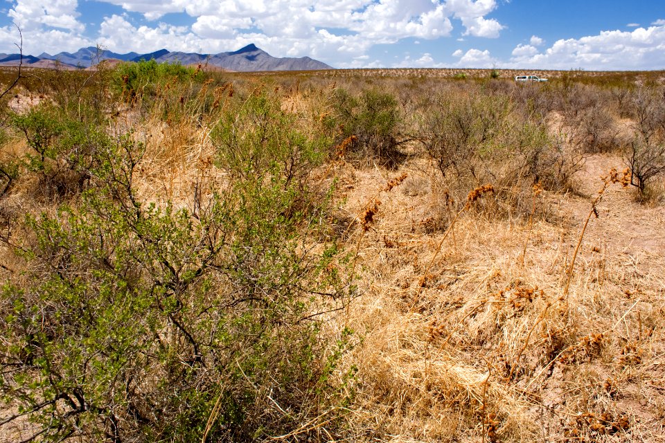 Southeast of the Big Hatchet Mountains