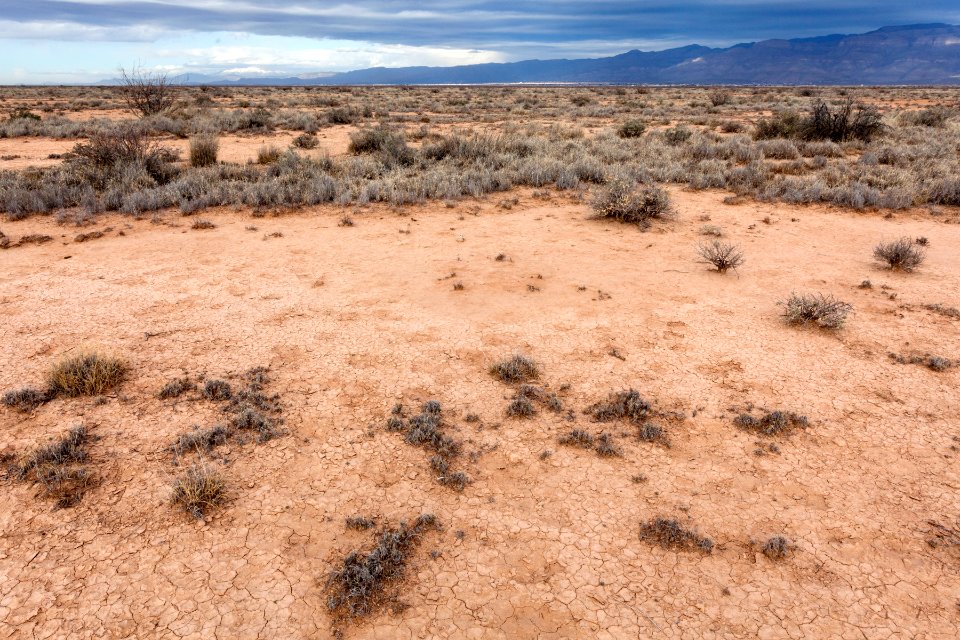 Northeast of Twin Buttes