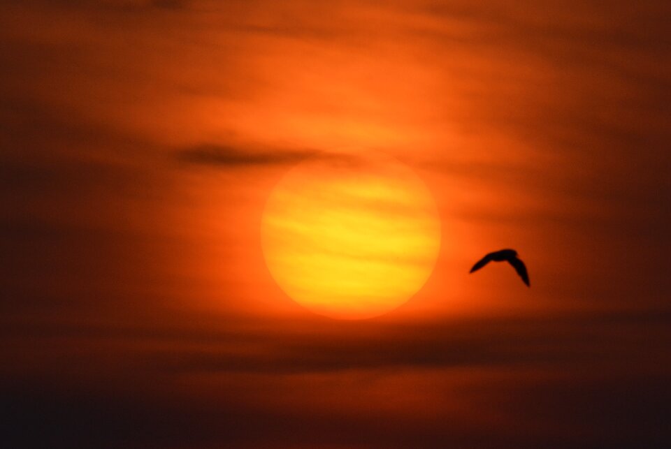 Colorful sunset orange romance