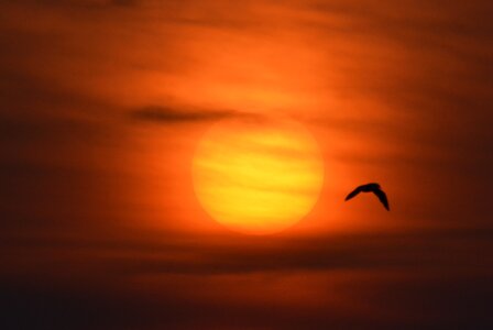 Colorful sunset orange romance photo