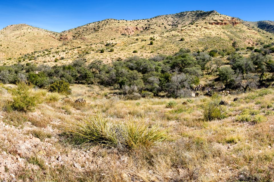 Owl Canyon