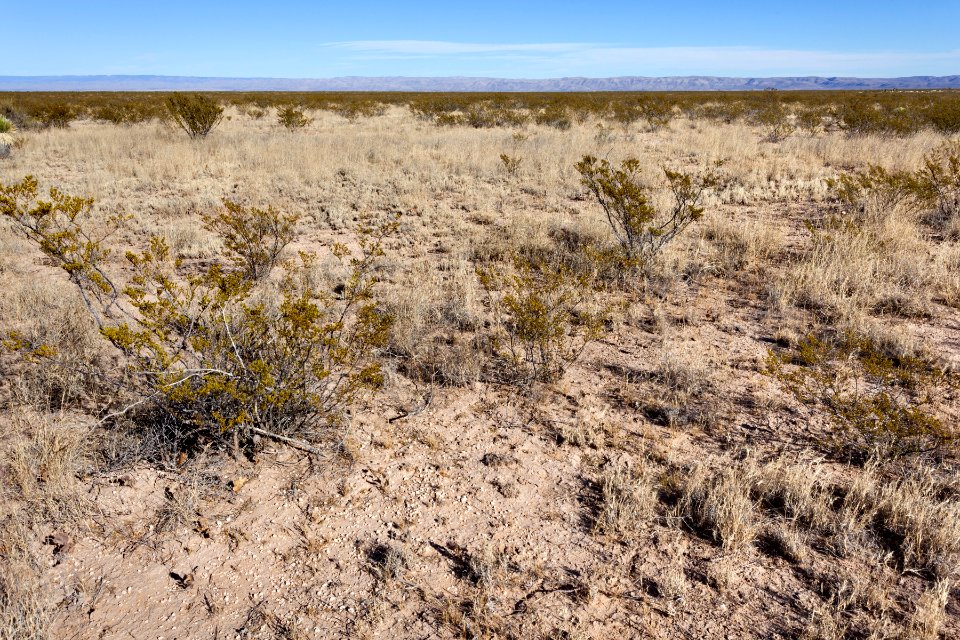 Otero Mesa