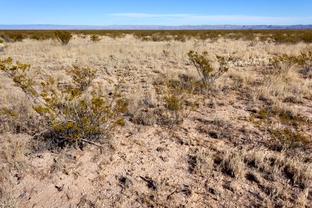Otero Mesa
