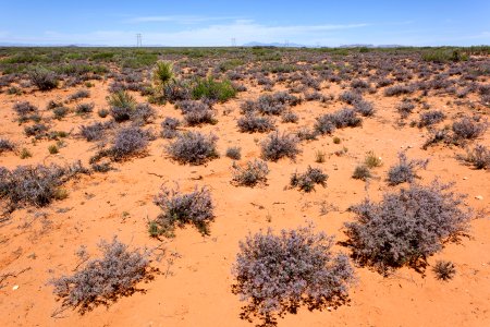 East of Jornada Lakes