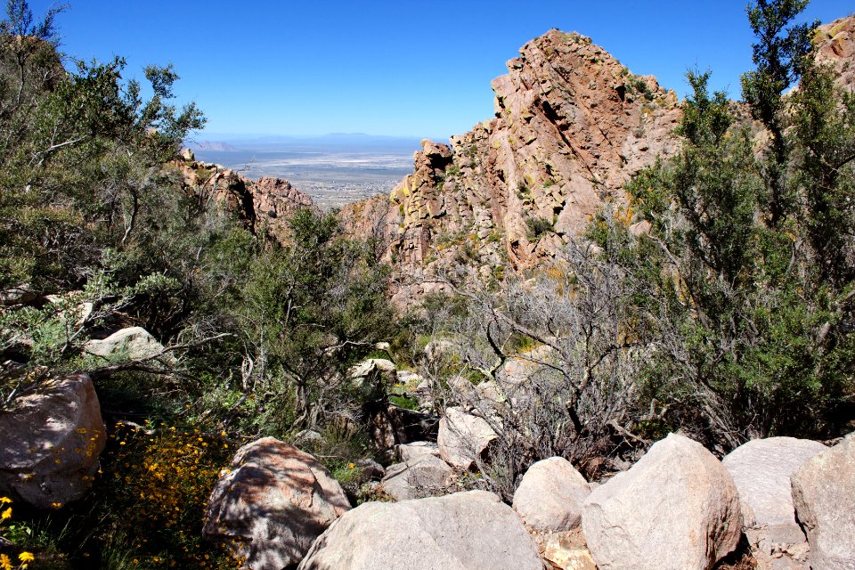 Rabbit Ears Canyon