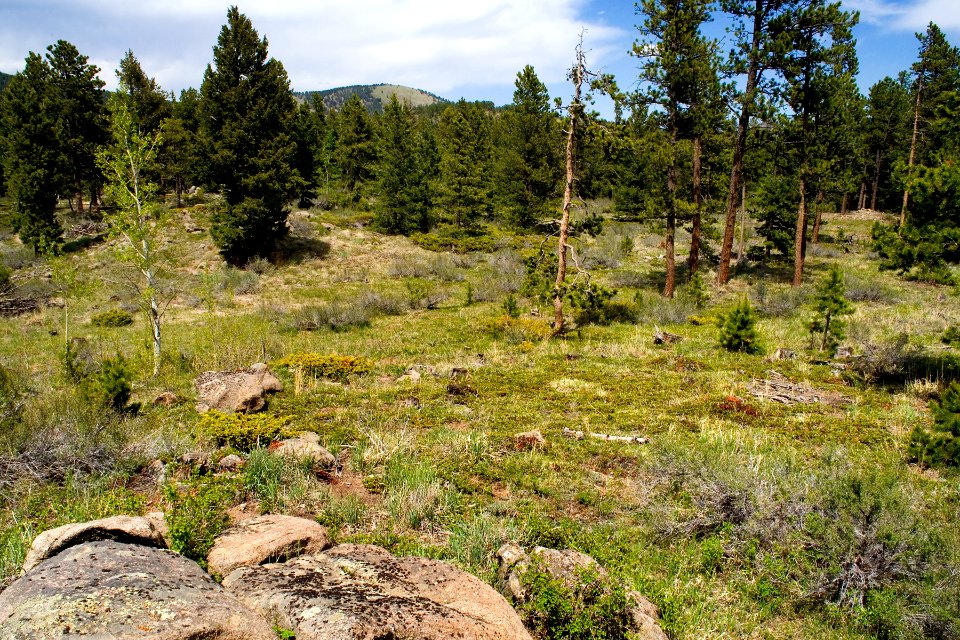 North of Nederland