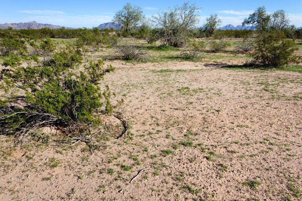 Harquahala Plain