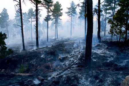 Controlled Burn