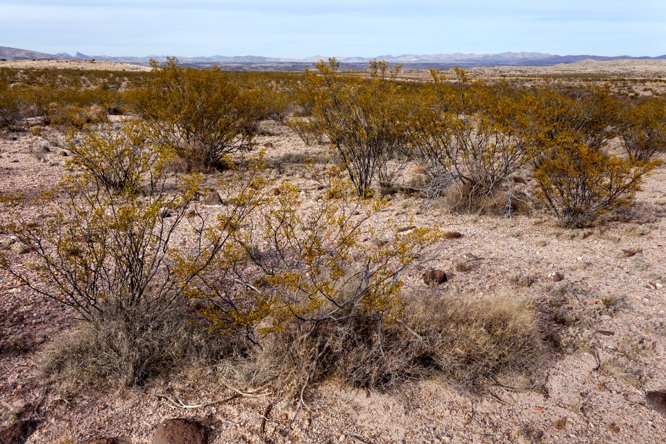 Southwest of Redrock