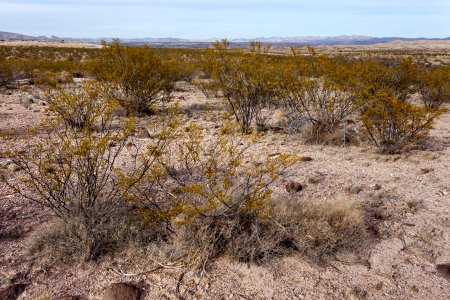 Southwest of Redrock