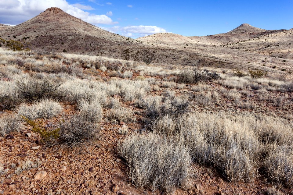 Southeastern foothills of Cookes Range
