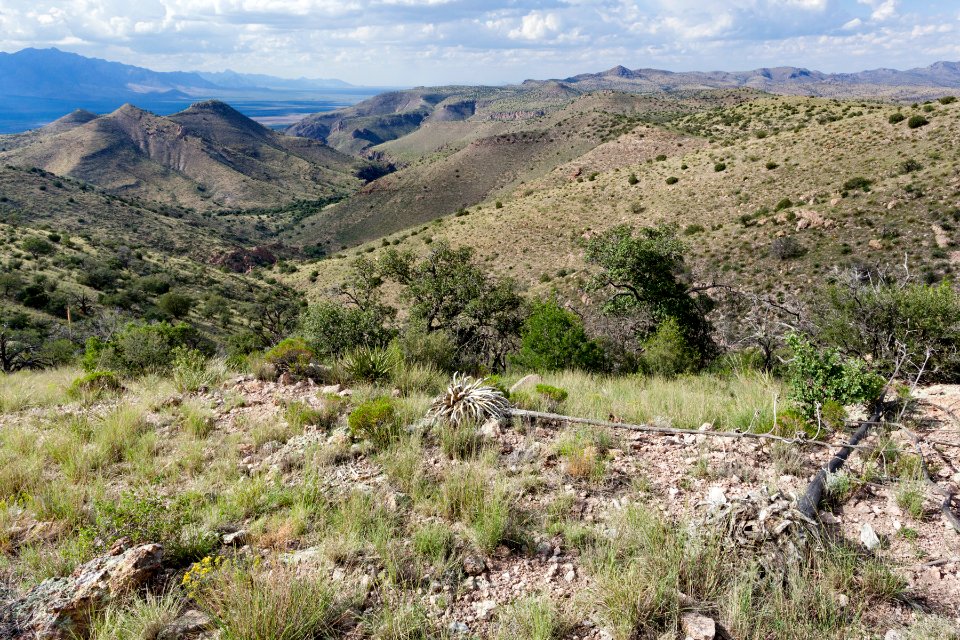 Owl Canyon