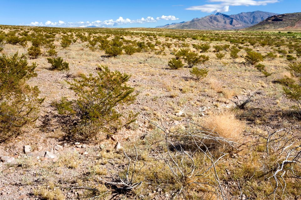 Near Goat Ridge