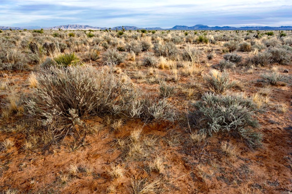Northern Jornada Plain
