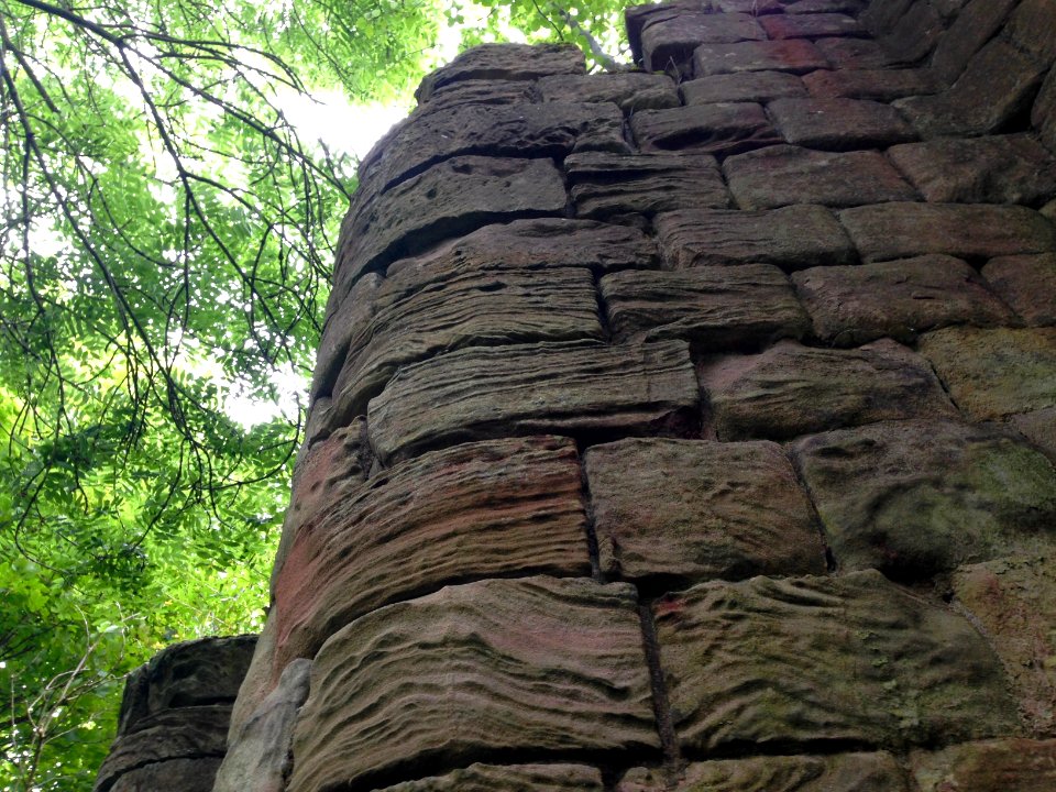Ripples in sandstone and trees