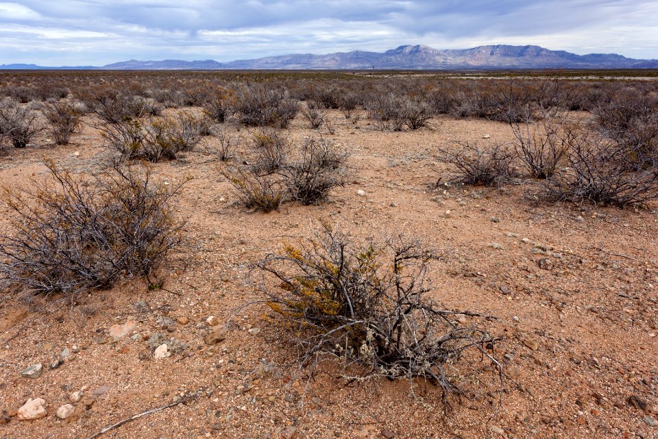 Near Greenhorn Arroyo