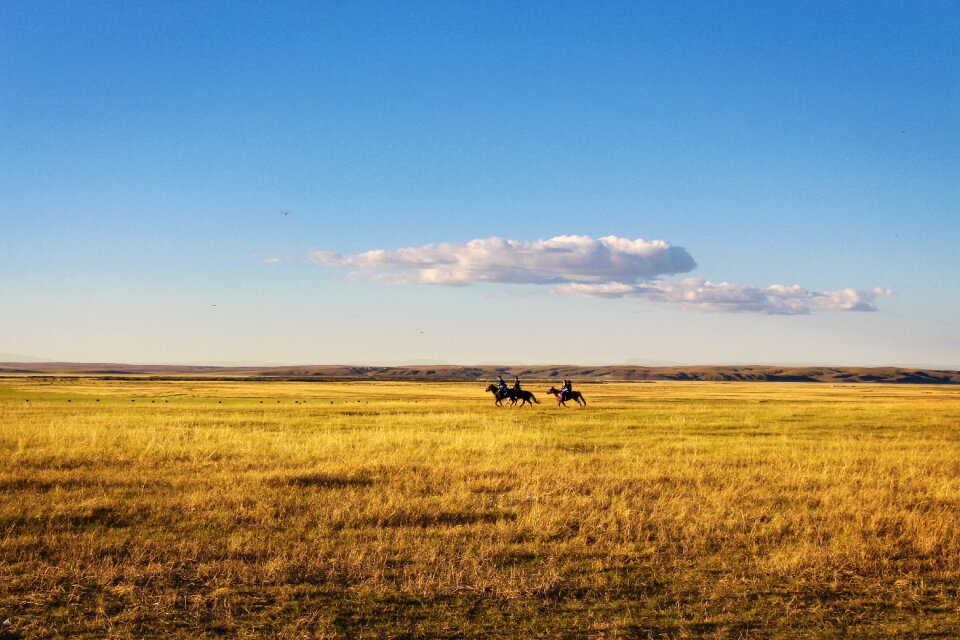 Prairie the vast landscape