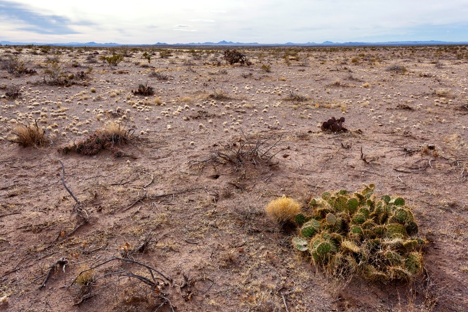 Northwest of Goat Ridge