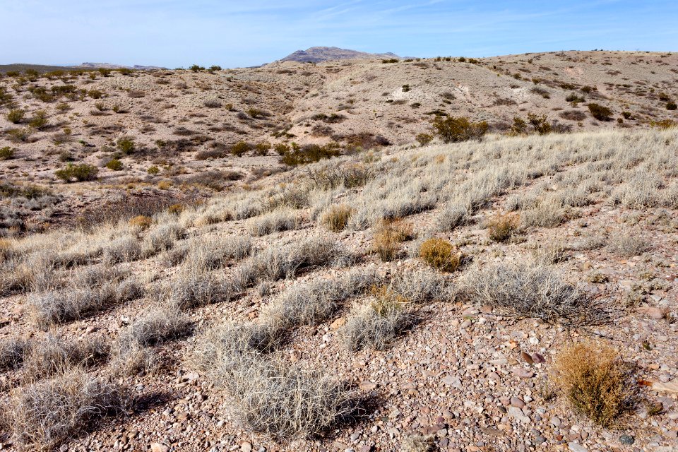 Southwest of Redrock
