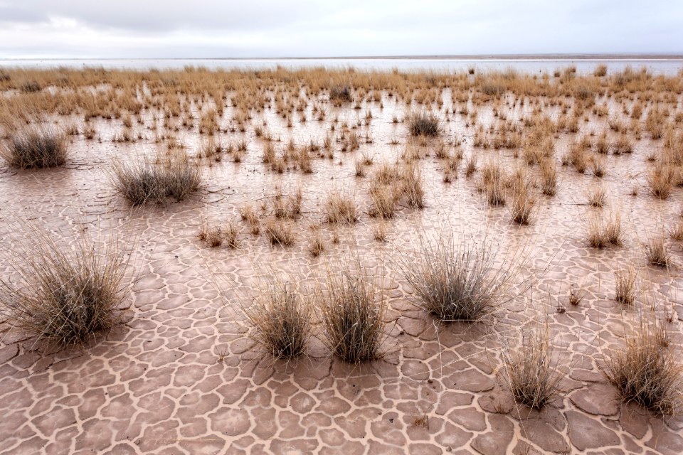 Northern edge of Northern Lordsburg Playa