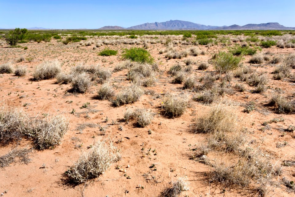 South of Goat Ridge
