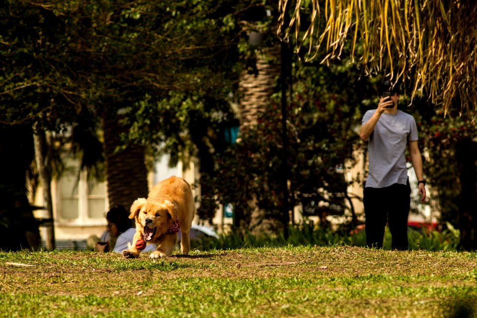 17.08.2019 - Dia do Patrimônio - Foto: Gustavo Vara