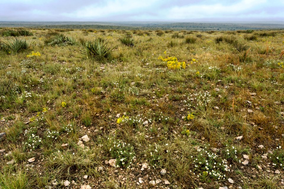 Near Sagebrush Valley