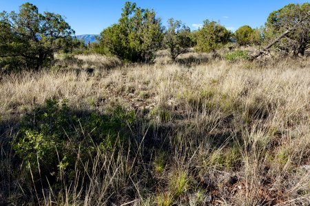 Fort Stanton Mesa