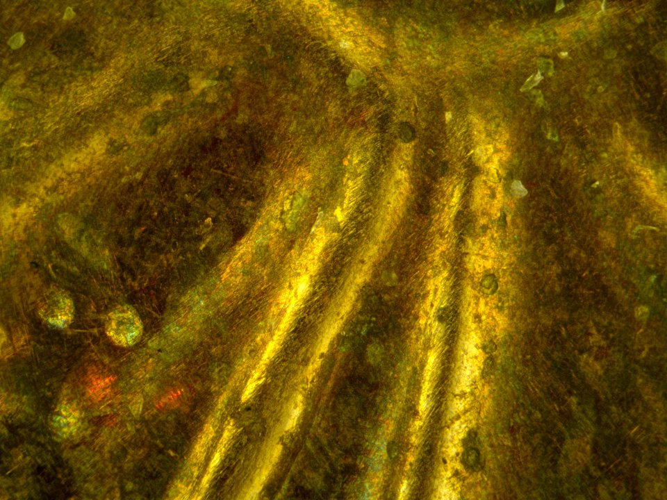 Coin Surface 100x