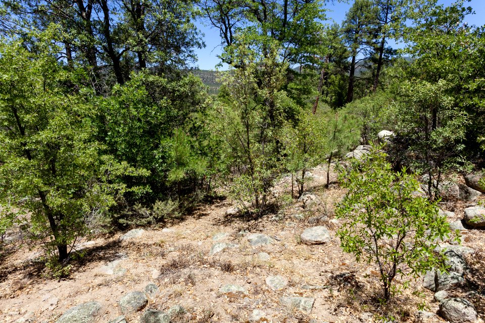 Pinos Altos Mountains