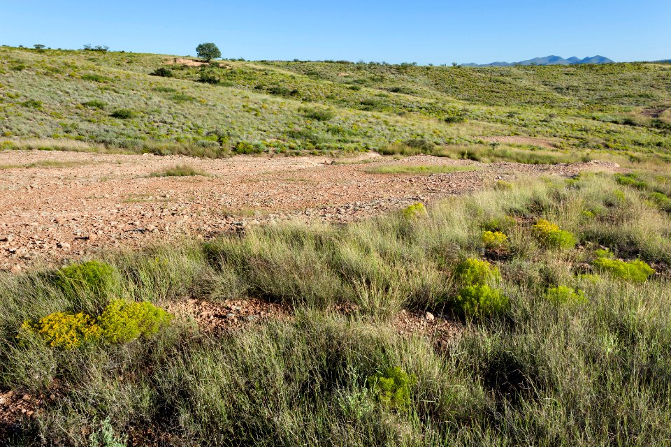 Southeast of Table Mountain