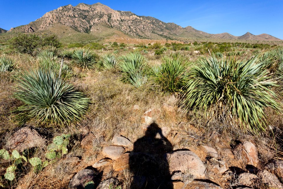 North-northeast of Aguirre Spring