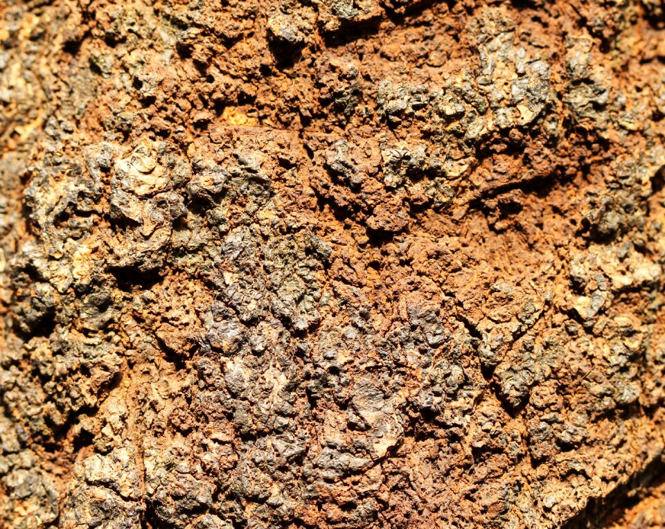 Brown the wall fabrics