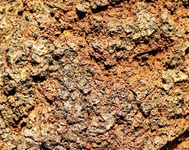 Brown the wall fabrics