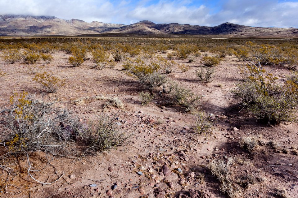 North of Fluorite Ridge