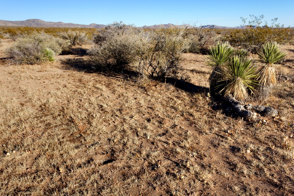 North of Goat Ridge