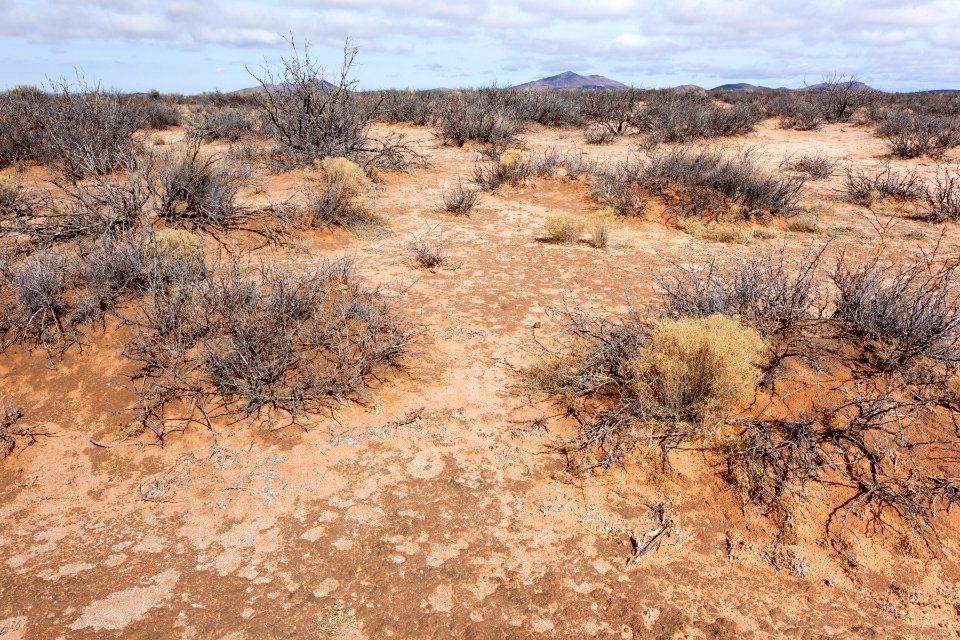 East of Rincon Arroyo
