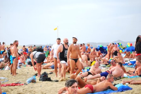 DSC 0289