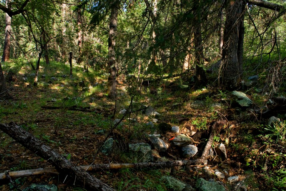 Silver Creek Canyon