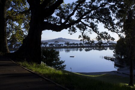 Island path new zealand photo