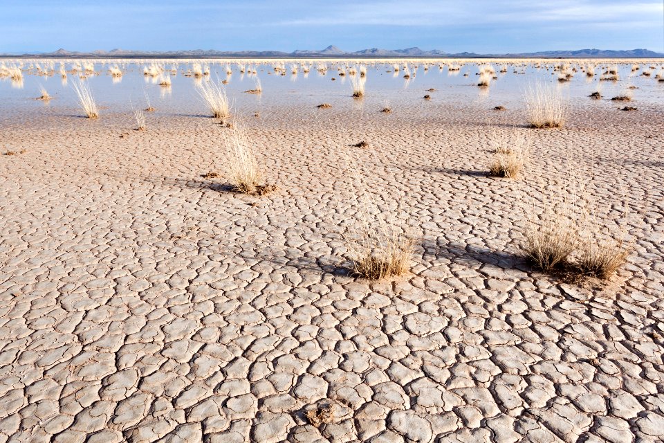 Lordsburg Playa