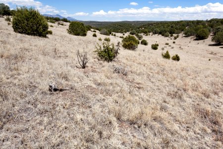 Fort Stanton