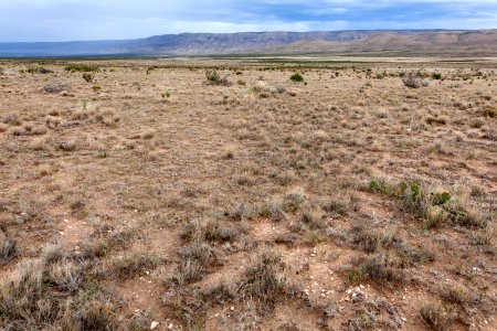 Big Dog Canyon