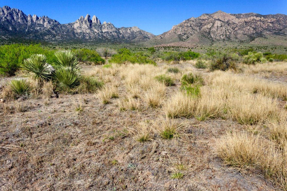 Northeast of Aguirre Spring