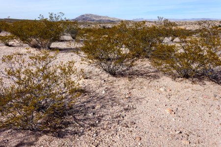 Southwest of Redrock