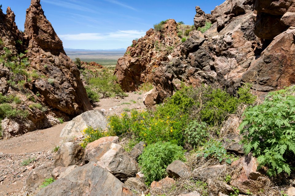 Owl Canyon