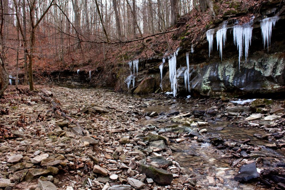 McCormick's Creek State Park