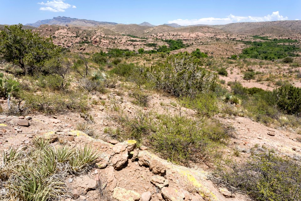 Near Hot Springs Canyon